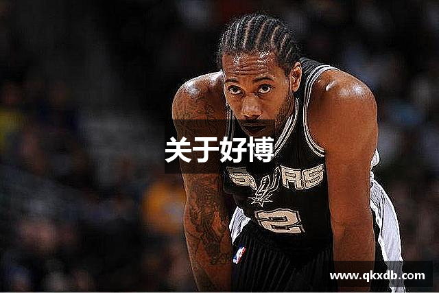 关于好博